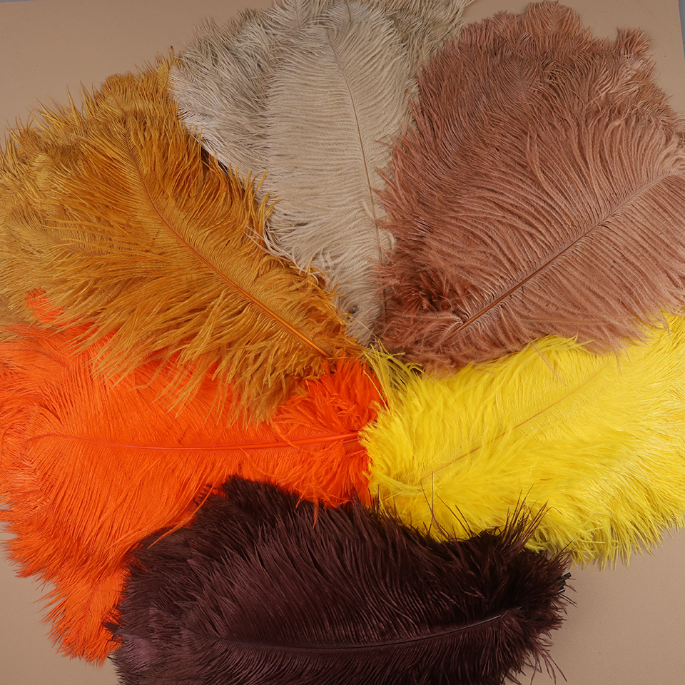 Feather Trim Marabou - 10pcs Ostrich Feathers for Crafts White