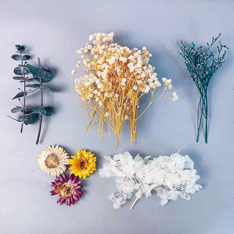 Craft Embellishment - 1pack Multifarious Dried Flowers Set For