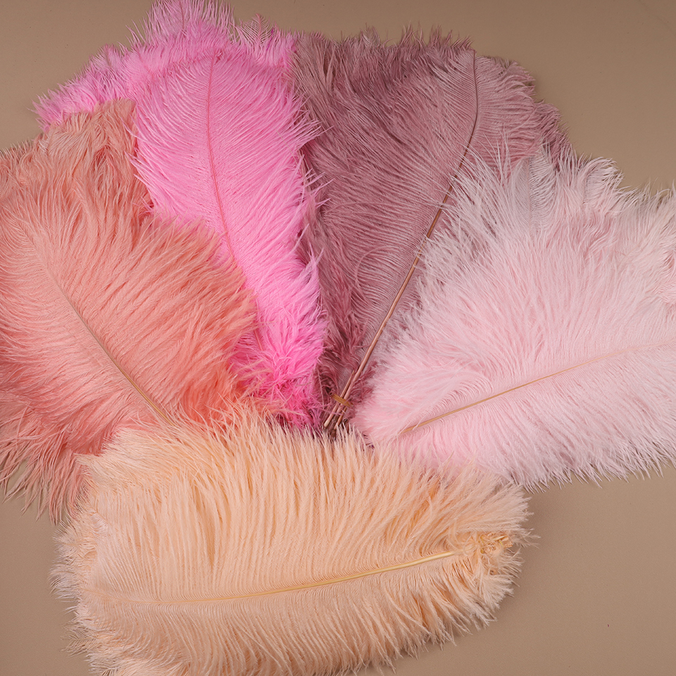 10pcs Ostrich Feathers for Cra - Feather Trim Marabou incelemesi ve fiyatı
