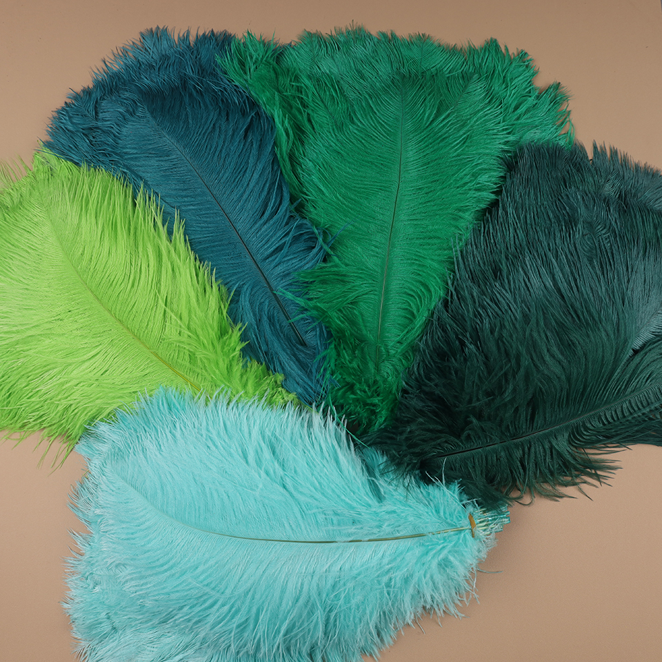 10pcs Ostrich Feathers for Cra - Feather Trim Marabou incelemesi ve fiyatı