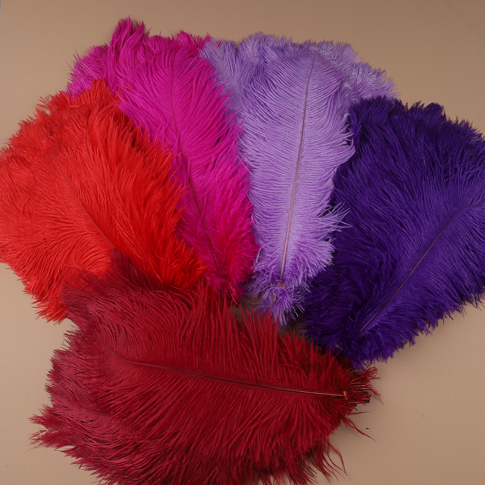 10pcs Ostrich Feathers for Cra - Feather Trim Marabou incelemesi ve fiyatı