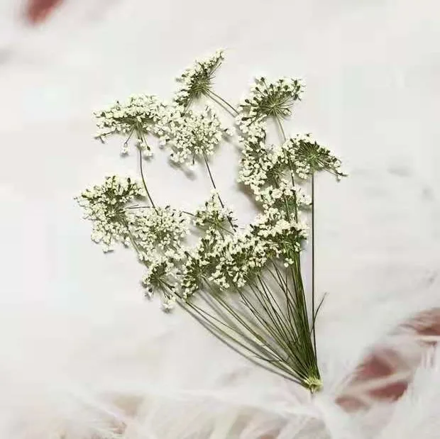 5-7cm/12pcs,Snow Tiny Flowers  - Craft Embellishment incelemesi ve fiyatı