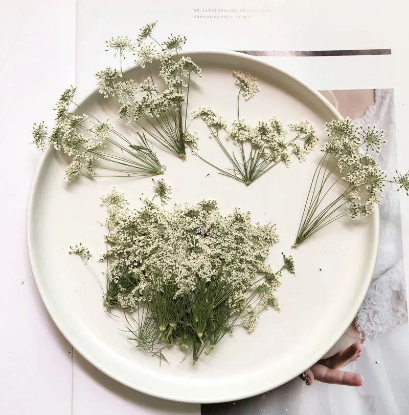 5-7cm/12pcs,Snow Tiny Flowers  - Craft Embellishment incelemesi ve fiyatı