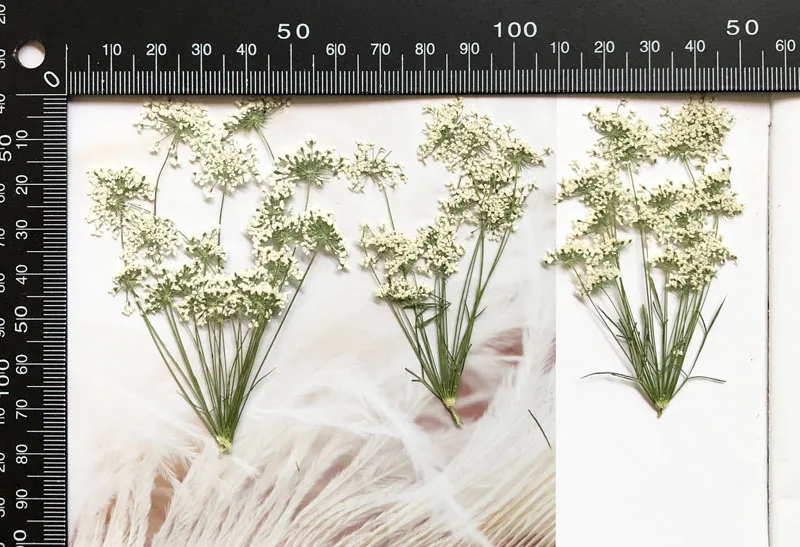 5-7cm/12pcs,Snow Tiny Flowers  - Craft Embellishment incelemesi ve fiyatı