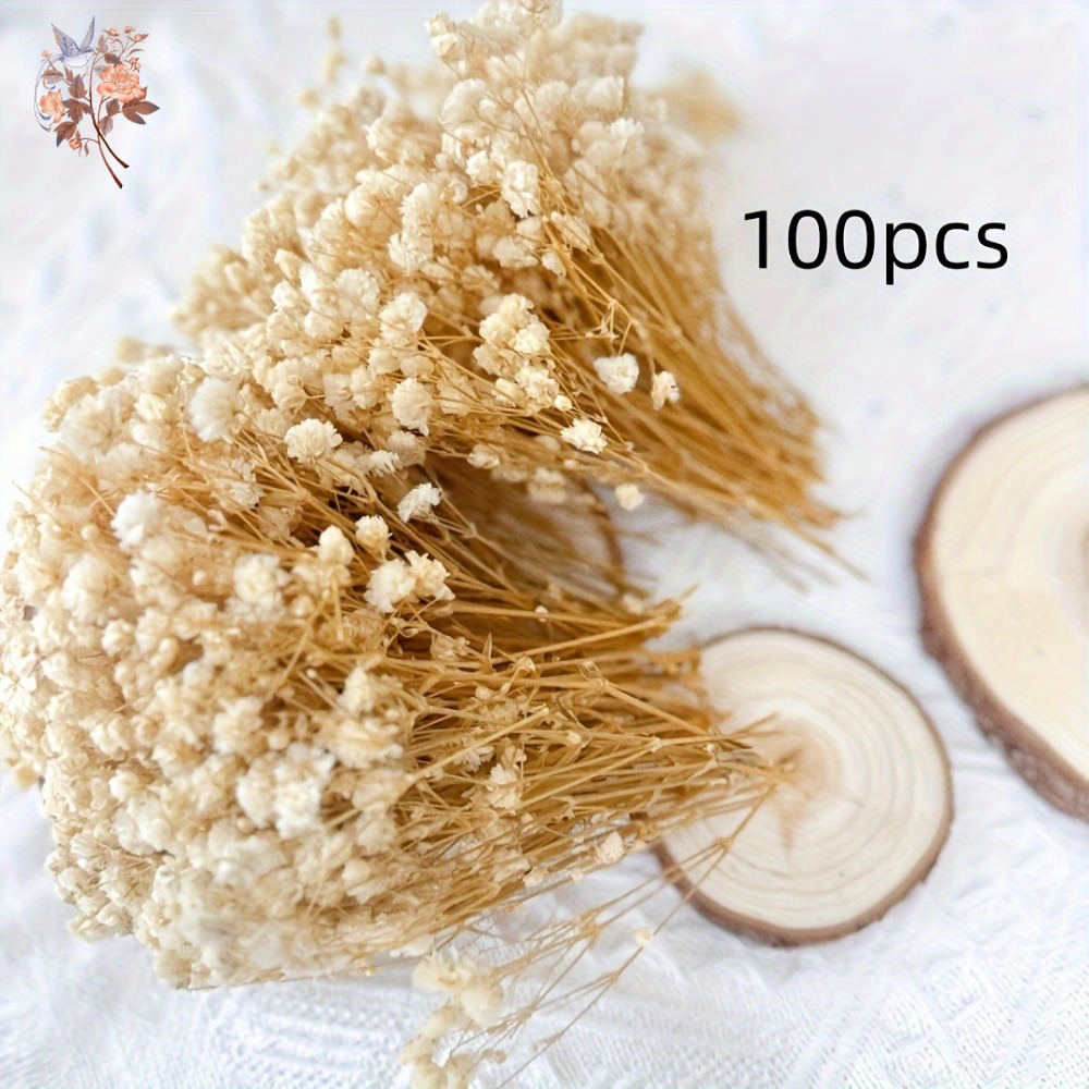 100pcs Mini Dried Baby's Breat - Craft Embellishment incelemesi ve fiyatı