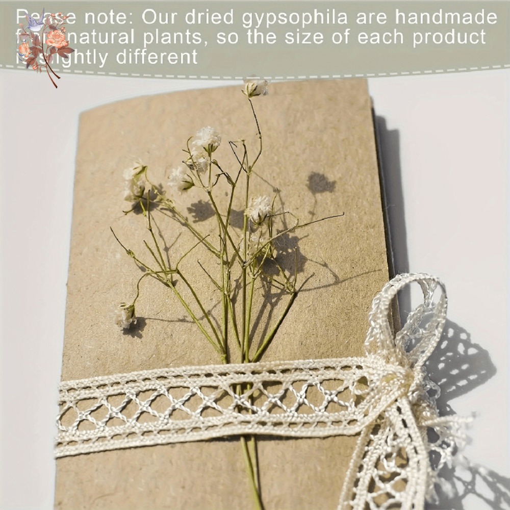 100pcs Mini Dried Baby's Breat - Craft Embellishment incelemesi ve fiyatı